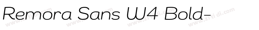 Remora Sans W4 Bold字体转换